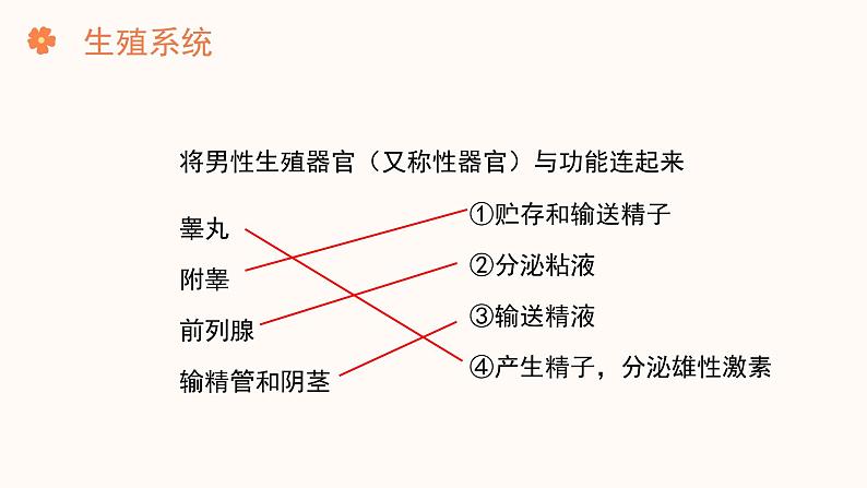 【核心素养目标】济南版初中生物七年级下册4.2.1《婴儿从受精卵发育而来》课件第7页