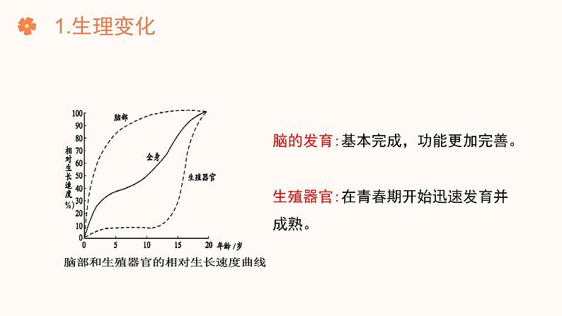 【核心素养目标】济南版初中生物七年级下册4.2.2《人在青春期出现显著变化》课件第6页