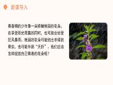 【核心素养目标】济南版初中生物七年级下册4.2.3《健康度过青春期》课件