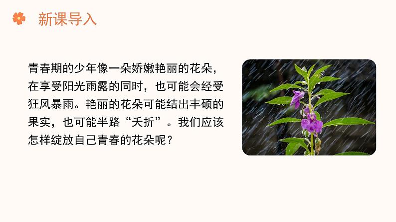 【核心素养目标】济南版初中生物七年级下册4.2.3《健康度过青春期》课件第2页