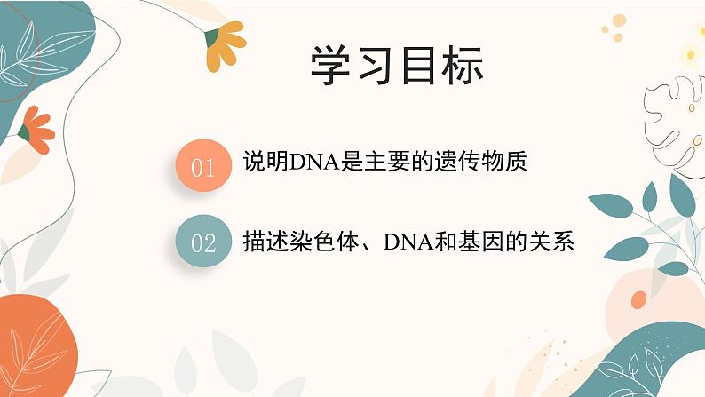 【核心素养目标】济南版初中生物七年级下册4.3.1《DNA是主要的遗传物质》课件第3页