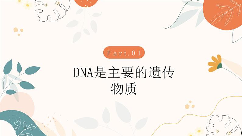 【核心素养目标】济南版初中生物七年级下册4.3.1《DNA是主要的遗传物质》课件第4页