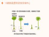 【核心素养目标】济南版初中生物七年级下册4.3.1《DNA是主要的遗传物质》课件
