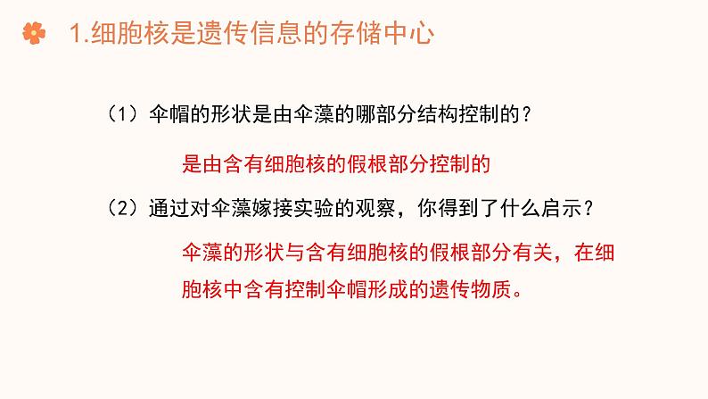 【核心素养目标】济南版初中生物七年级下册4.3.1《DNA是主要的遗传物质》课件第7页