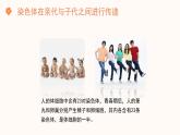 【核心素养目标】济南版初中生物七年级下册4.3.3《性染色体决定人的性别》课件