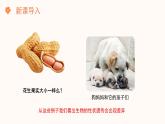 【核心素养目标】济南版初中生物七年级下册4.3.4《遗传信息改变可引起生物变异》课件