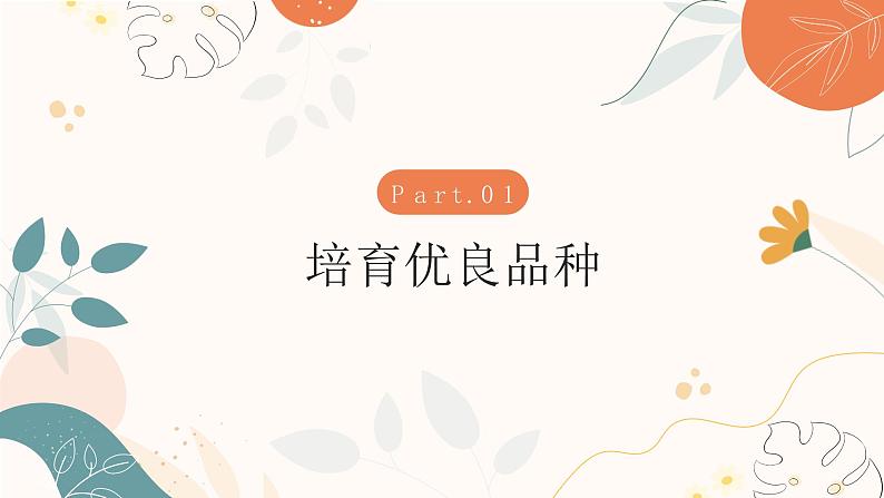 【核心素养目标】济南版初中生物七年级下册4.3.5《生物育种技术促进农业发展》课件第4页