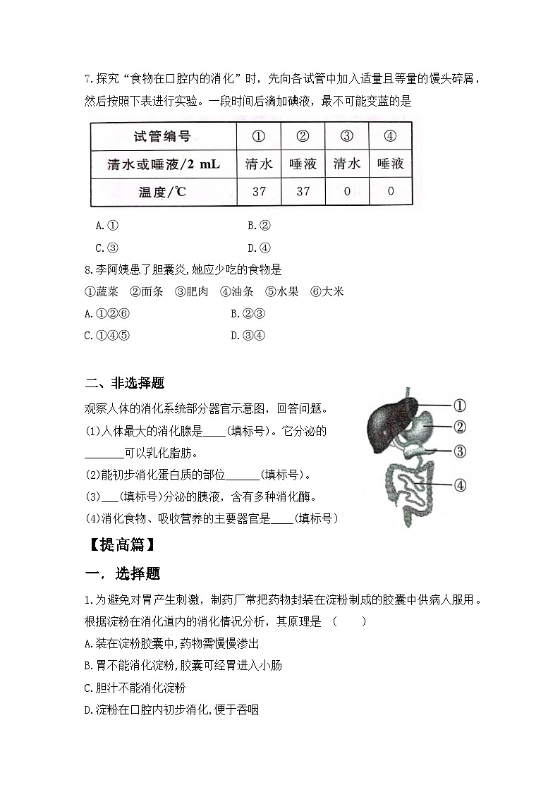 人教版初中生物七年级下册4.2.2《消化和吸收》同步练习（含答案）第2页