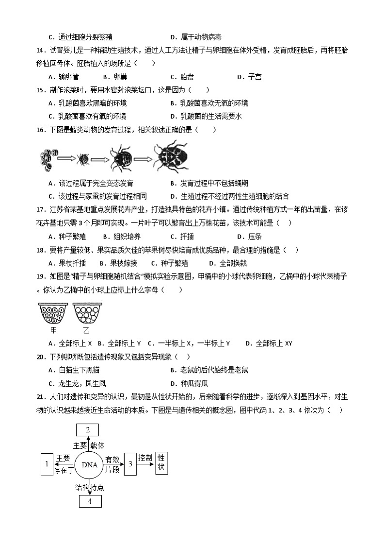 八年级生物开学摸底考（北师大版）（考试版）第3页