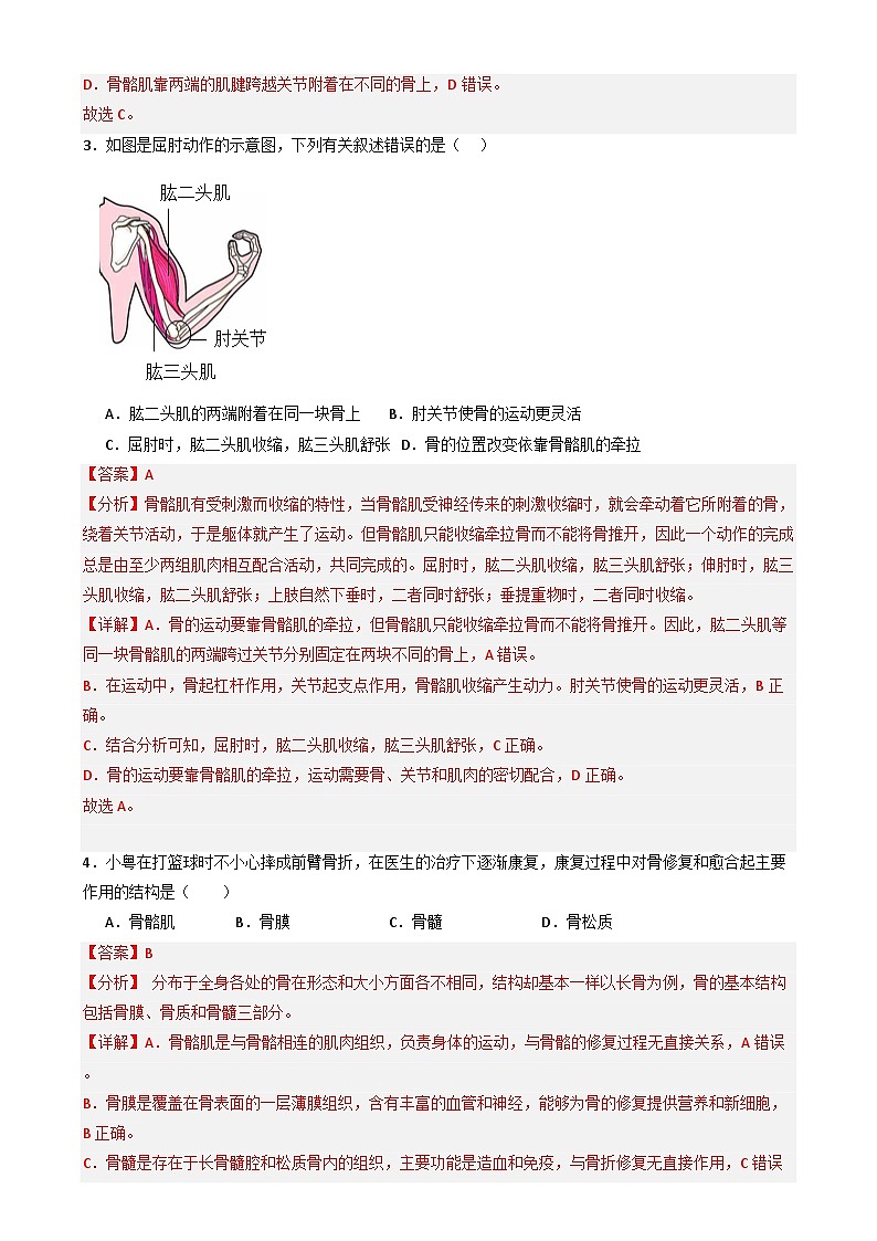 八年级生物开学摸底考（北师大版 ） （全解全析）第2页