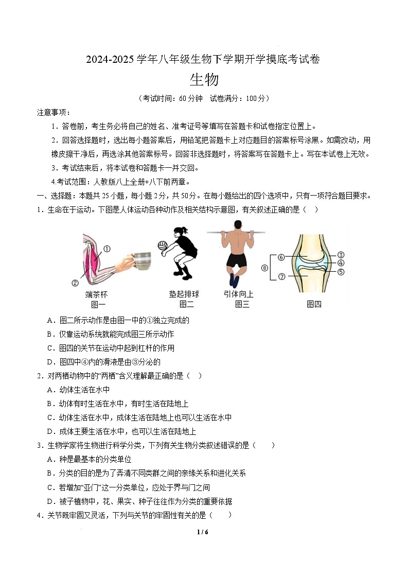 八年级生物开学摸底考（安徽专用）-2024-2025学年初中下学期开学摸底考试卷 （安徽专用）（考试版）第1页