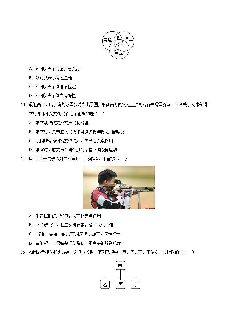 八年级生物开学摸底考（深圳专用）（考试版）第3页