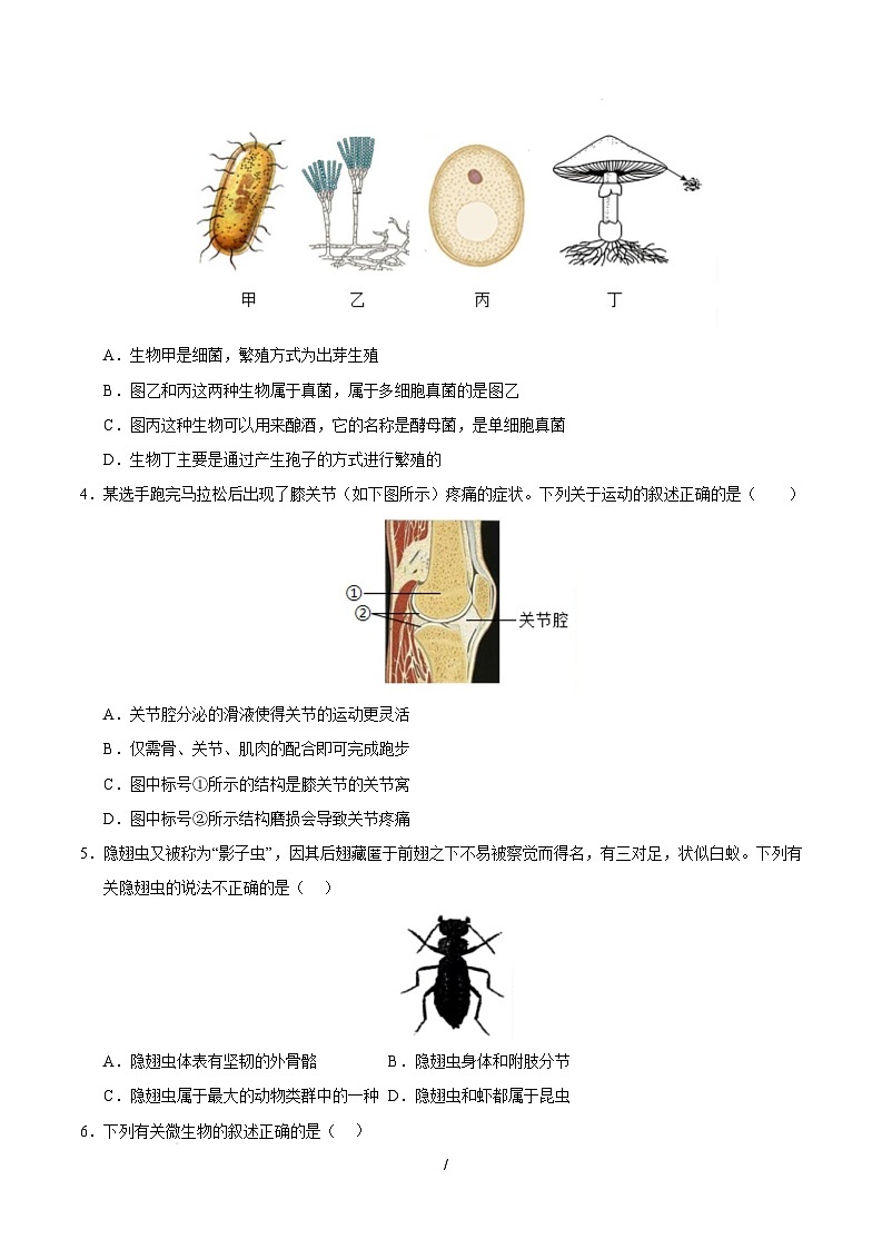 八年级生物开学摸底考（湖北专用）（考试版）第2页
