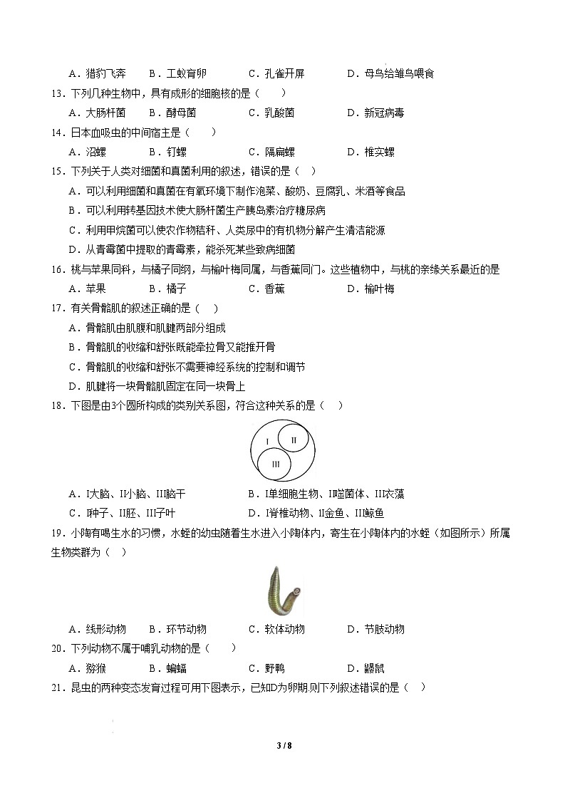 八年级生物开学摸底考（湖南专用）-2024-2025学年初中下学期开学摸底考试卷 （湖南专用）（考试版）第3页