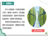 【核心素养】人教版生物七年级下册 3.1.1 种子的萌发 同步课件+同步练习+同步教案
