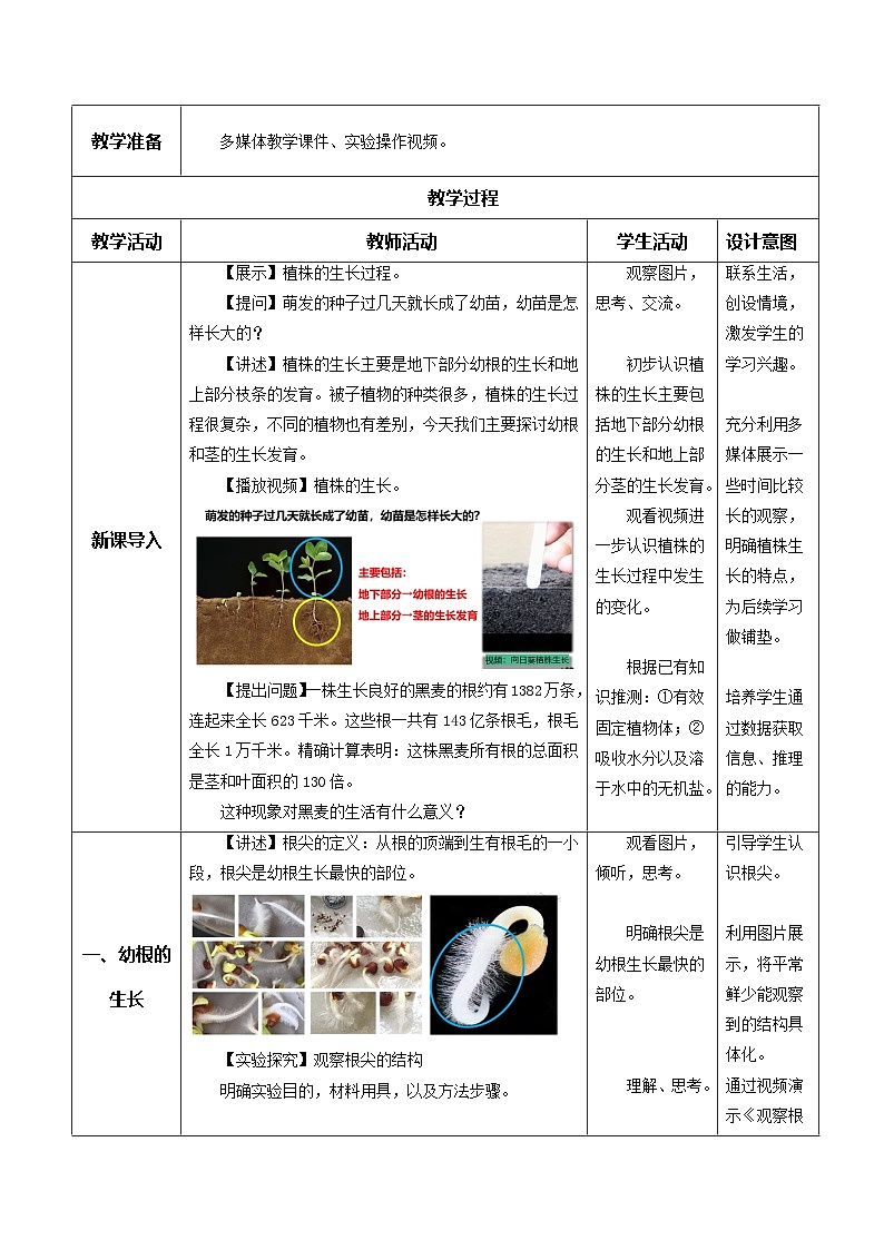 【核心素养】人教版生物七年级下册 3.1.2 植株的生长（教学设计）第2页