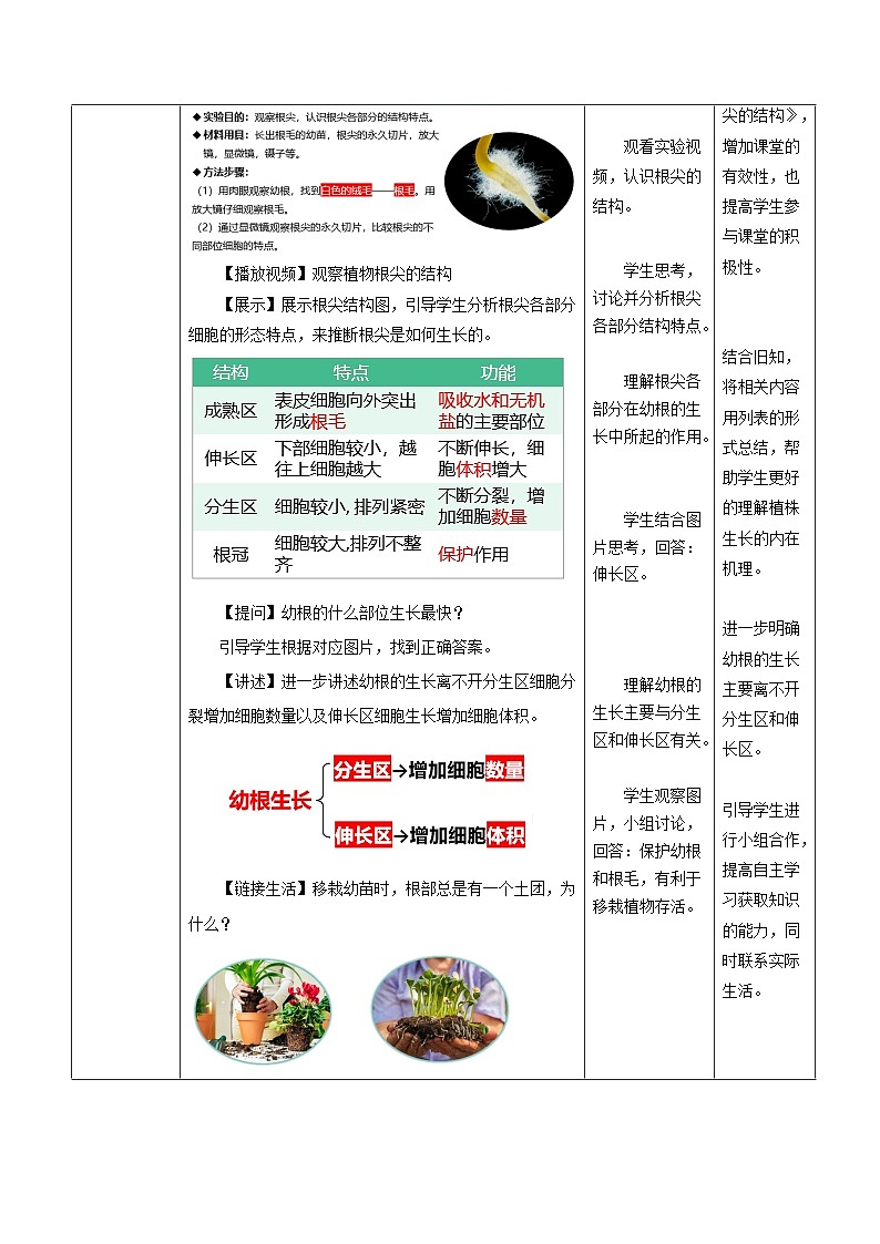 【核心素养】人教版生物七年级下册 3.1.2 植株的生长（教学设计）第3页