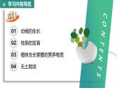 【核心素养】人教版生物七年级下册 3.1.2 植株的生长 同步课件+同步练习+同步教案