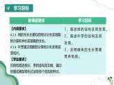 【核心素养】人教版生物七年级下册 3.1.2 植株的生长 同步课件+同步练习+同步教案