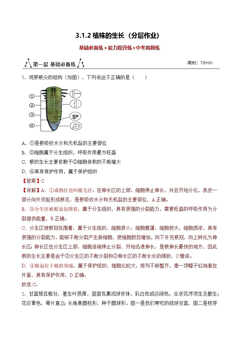 【核心素养】人教版生物七年级下册 3.1.2 植株的生长（分层作业）（解析版）第1页