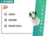 【核心素养】人教版生物七年级下册 3.1.3 开花和结果 同步课件+同步练习+同步教案