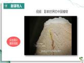 【核心素养】人教版生物七年级下册 3.1.3 开花和结果 同步课件+同步练习+同步教案
