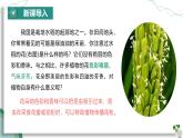 【核心素养】人教版生物七年级下册 3.1.3 开花和结果 同步课件+同步练习+同步教案