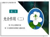 【核心素养】人教版生物七年级下册 3.2.2 光合作用（第2课时） 同步课件+同步练习+同步教案