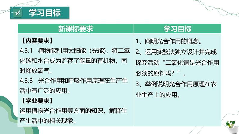 【核心素养】人教版生物七年级下册 3.2.2 光合作用（第2课时） 同步课件第3页