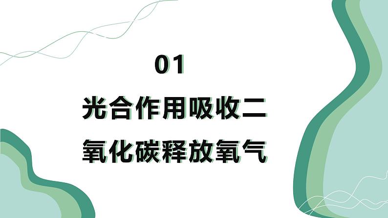 【核心素养】人教版生物七年级下册 3.2.2 光合作用（第2课时） 同步课件第5页