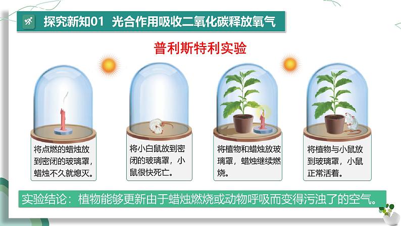 【核心素养】人教版生物七年级下册 3.2.2 光合作用（第2课时） 同步课件第6页