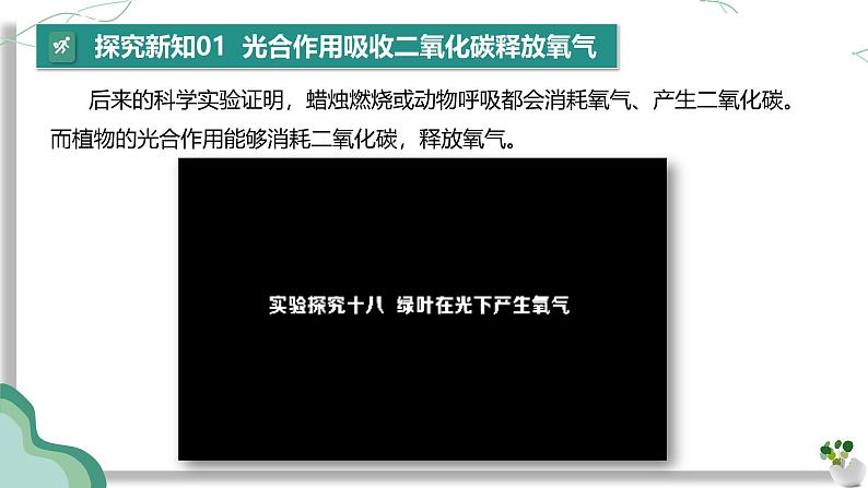 【核心素养】人教版生物七年级下册 3.2.2 光合作用（第2课时） 同步课件第7页