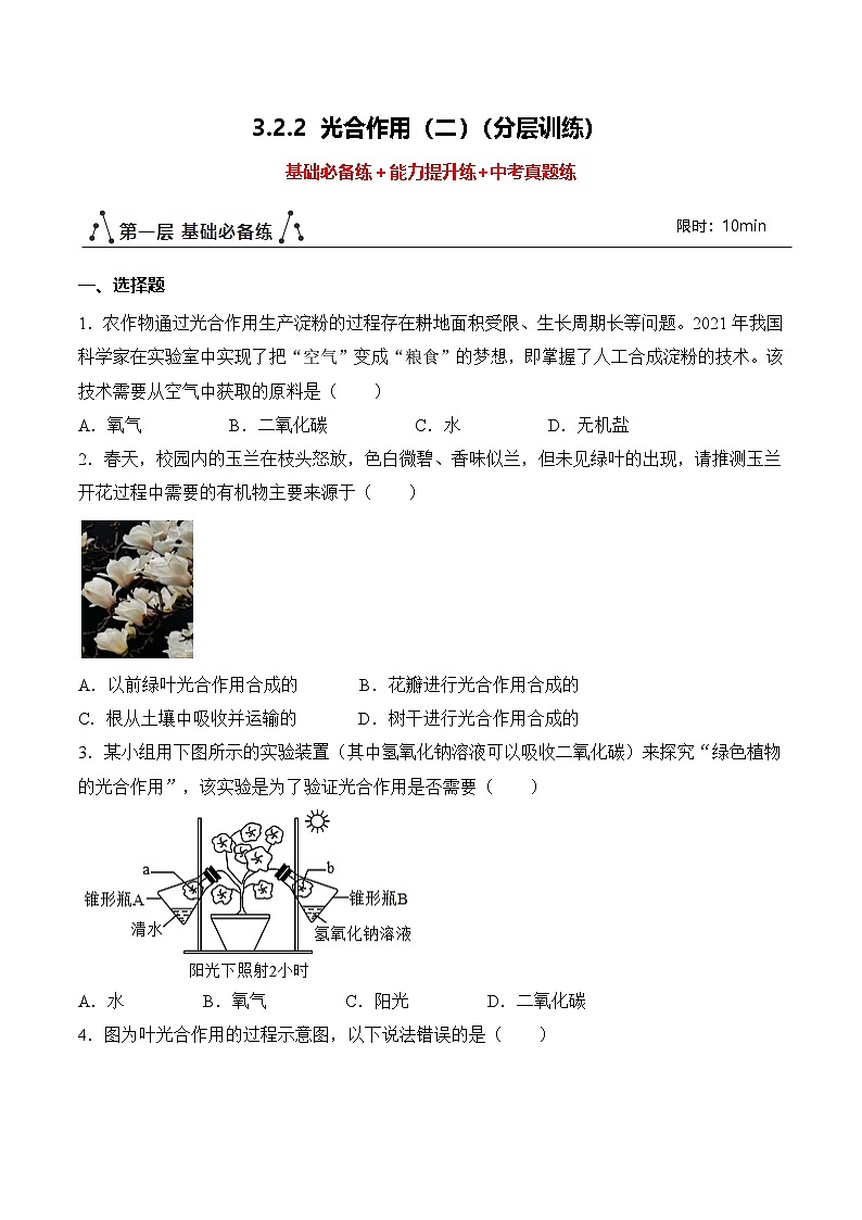 【核心素养】人教版生物七年级下册 3.2.2 光合作用（第2课时）（分层作业）（原卷版）第1页