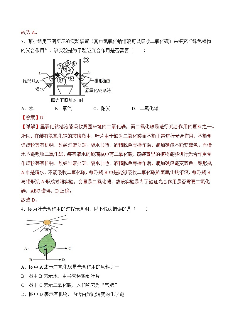 【核心素养】人教版生物七年级下册 3.2.2 光合作用（第2课时）（分层作业）（解析版）第2页
