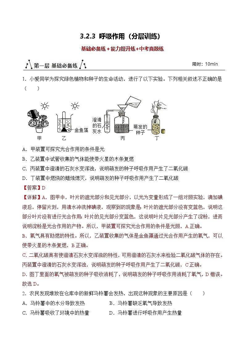 【核心素养】人教版生物七年级下册 3.2.3 呼吸作用（分层作业）（解析版）第1页