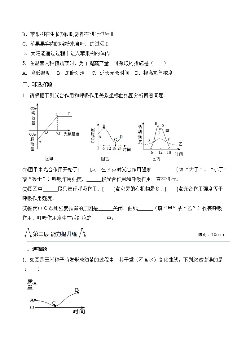 【核心素养】人教版生物七年级下册 3.2.3 呼吸作用（分层作业）（原卷版）第2页
