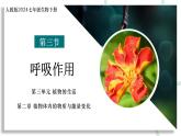 【核心素养】人教版生物七年级下册 3.2.3 呼吸作用 同步课件+同步练习+同步教案