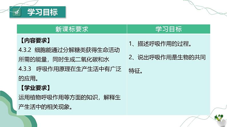 【核心素养】人教版生物七年级下册 3.2.3 呼吸作用 同步课件第3页