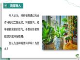【核心素养】人教版生物七年级下册 3.2.3 呼吸作用 同步课件+同步练习+同步教案
