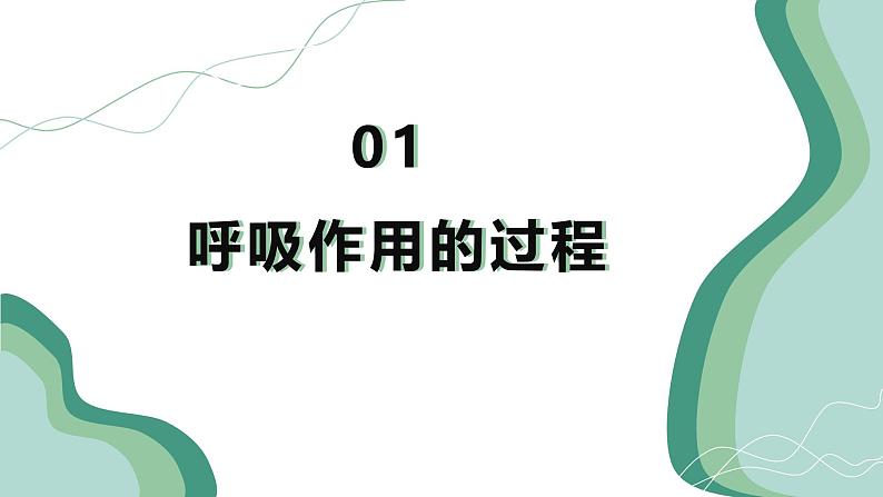 【核心素养】人教版生物七年级下册 3.2.3 呼吸作用 同步课件第5页