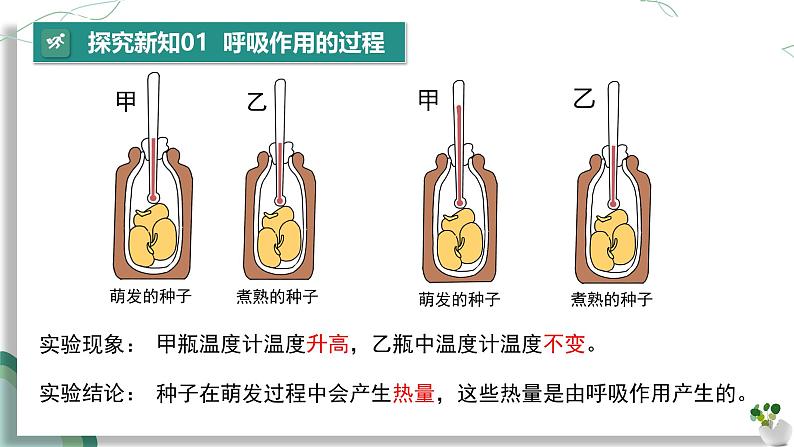 【核心素养】人教版生物七年级下册 3.2.3 呼吸作用 同步课件第7页