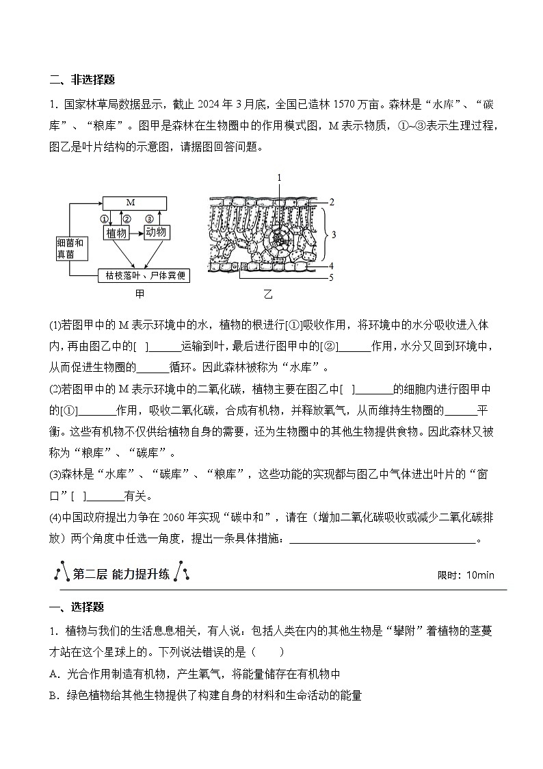 【核心素养】人教版生物七年级下册 3.2.4 植物在自然界中的作用（分层作业）（原卷版）第3页