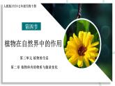 【核心素养】人教版生物七年级下册 3.2.4 植物在自然界中的作用 同步课件+同步练习+同步教案