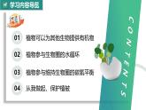 【核心素养】人教版生物七年级下册 3.2.4 植物在自然界中的作用 同步课件+同步练习+同步教案
