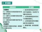 【核心素养】人教版生物七年级下册 3.2.4 植物在自然界中的作用 同步课件+同步练习+同步教案