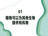 【核心素养】人教版生物七年级下册 3.2.4 植物在自然界中的作用 同步课件+同步练习+同步教案