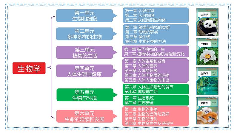 【核心素养】人教版生物七年级下册 开学第一课 同步课件第6页