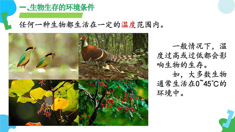 【核心素养】苏教版生物七年级下册 3.7.1 生态系统的构成（教学课件）（第1课时）第8页