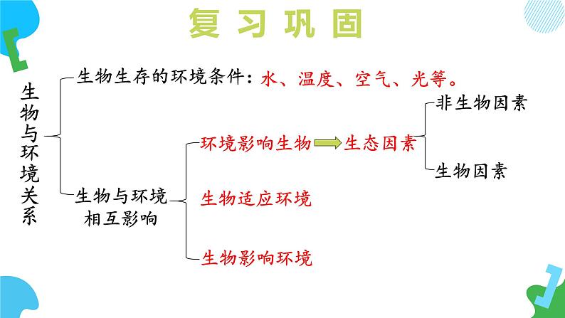 【核心素养】苏教版生物七年级下册 3.7.1 生态系统的构成（教学课件）（第2课时）第5页