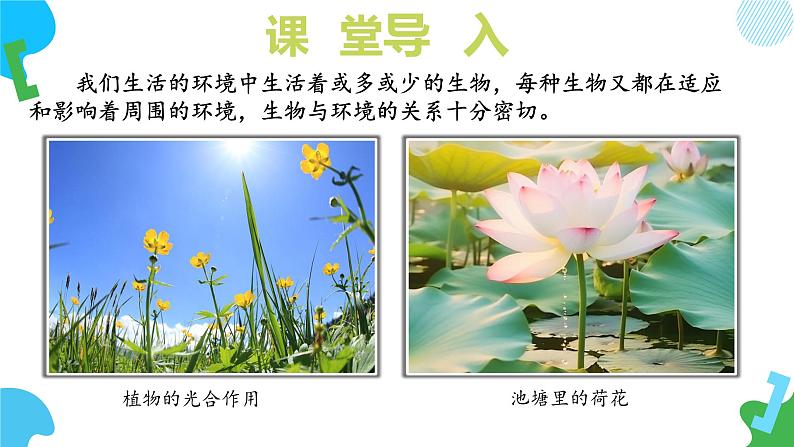 【核心素养】苏教版生物七年级下册 3.7.1 生态系统的构成（教学课件）（第2课时）第6页